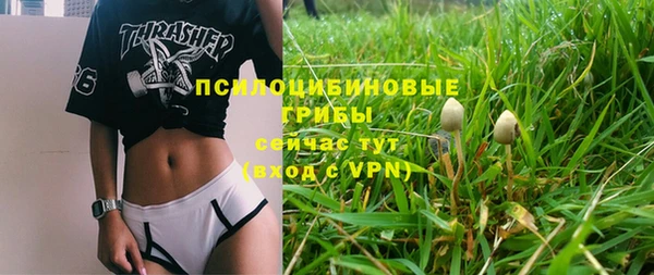 спайс Алзамай